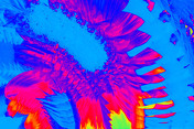 September 2016 bis Januar 2017: Farbe ist ein Freund von Form