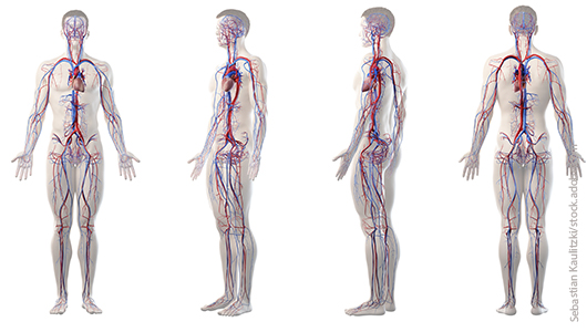 Medizinische Klinik V - Klinik für Angiologie