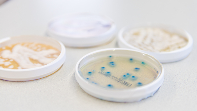 Klinik für Dermatologie und Allergologie, Klinikum Vest