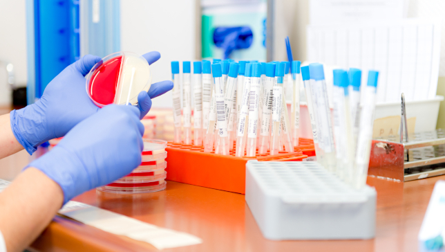 Klinik für Dermatologie und Allergologie, Klinikum Vest