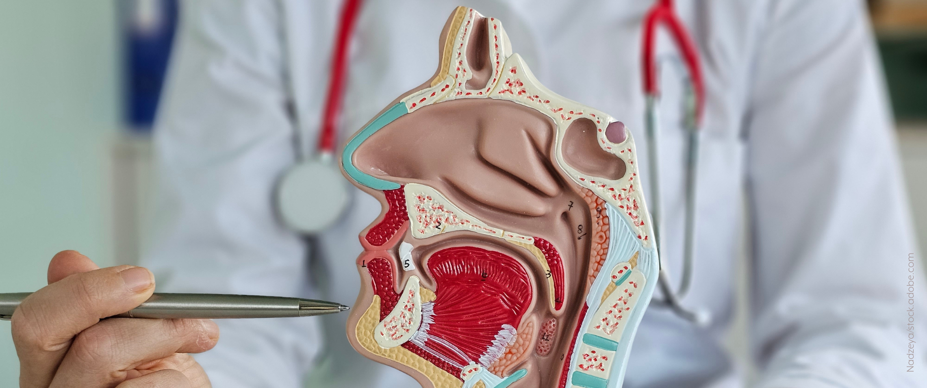 Fiberendoskopische Evaluation des Schluckens