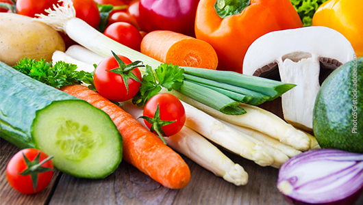 Ernährungsmedizin