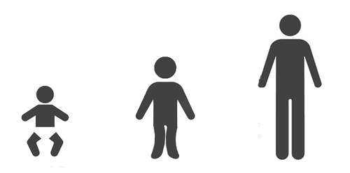 Grafik 1