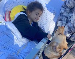 Labrador Mia und Chanille 