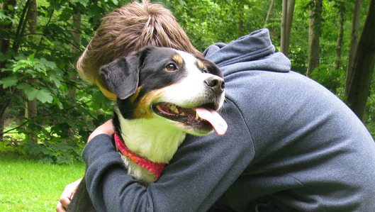 Therapiehund der Tagesklink fuer Kinder- und Jugendpsychiatrie