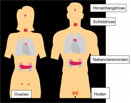 Bluthochdrucks
