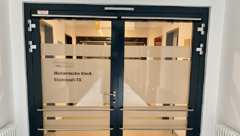 Stammzelltransplantation und Immunzelltherapie
