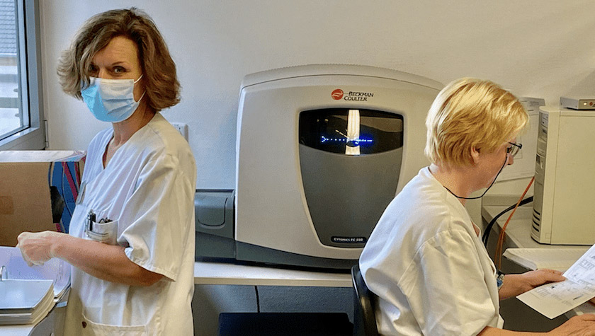 Stammzelltransplantation und Immunzelltherapie